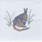Kangaroo