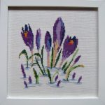 Crocus