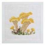 Chanterelle