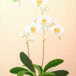 White Orchid
