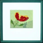 Poppy