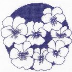 Violet