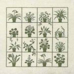 Flowerpots  Green