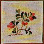 Lingonberry
