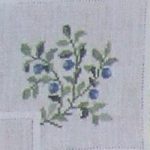 Blueberry