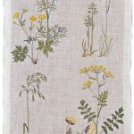 Grass and Wild Plants
