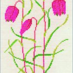 Fritillary