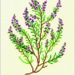 Heather