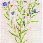 Flax