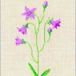 Bell flower