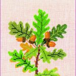 Oak