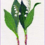 Lily of the Valley