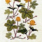 Cloudberry