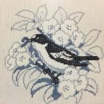 Flycatcher