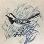 Wagtail