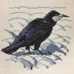 Rook