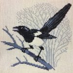 Magpie