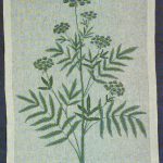Greater Water Parsnip