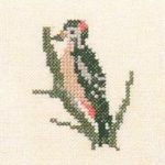 Woodpecker