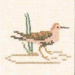 Sandpiper