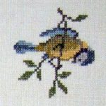 Bluetit