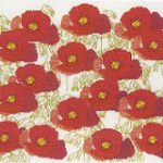 Poppies