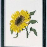 Sunflower, Kansas