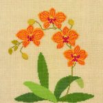 Orchid