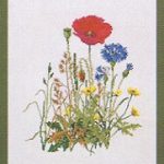 Flowers of the Field